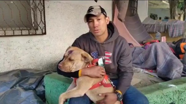 Sanson el perro migrante golpeado por policias mexicanos