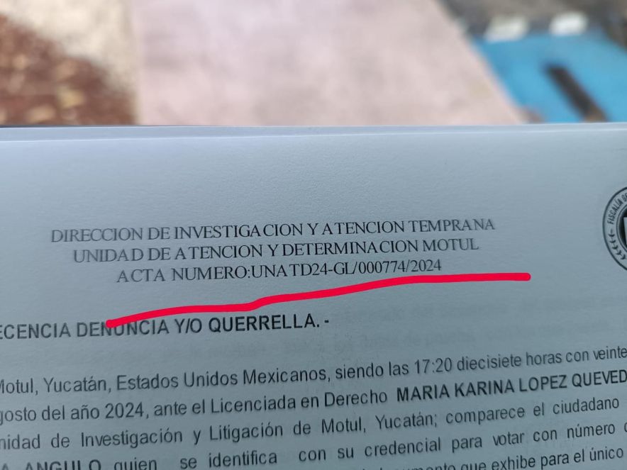 Indigna en redes video de maltrato animal en Dzidzantún