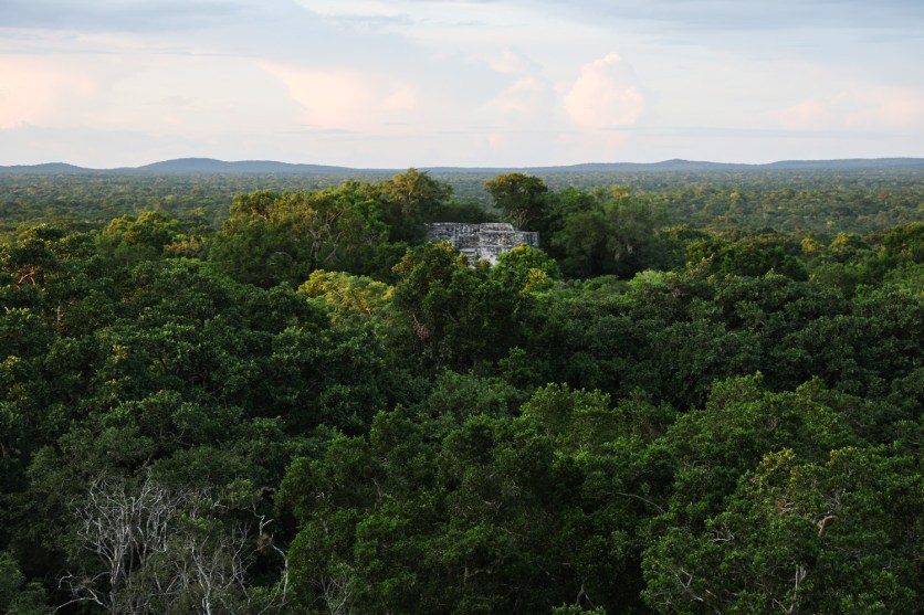 Así luce el Museo de Sitio de Calakmul en Campeche (FOTOS)